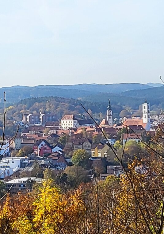 Blick auf Sulzbach vom Annaberg